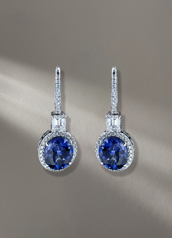 Drop New Earring